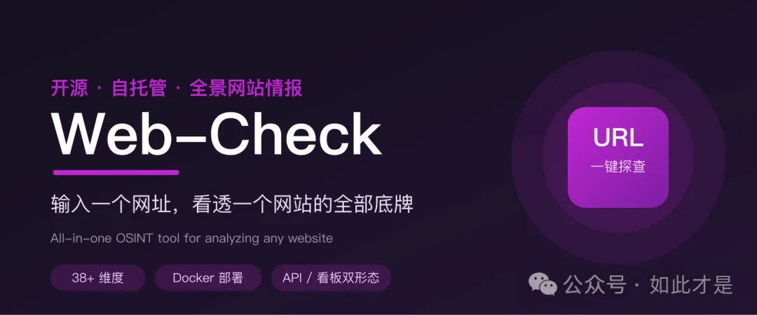 Web-Check：输入一个网址，看清任意网站的全部底牌